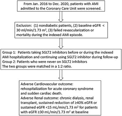 Association of Sodium-Glucose Cotransporter 2 (SGLT2) Inhibitor Use With Cardiovascular and Renal Outcomes in Type 2 Diabetes Mellitus Patients With Stabilized Acute Myocardial Infarction: A Propensity Score Matching Study